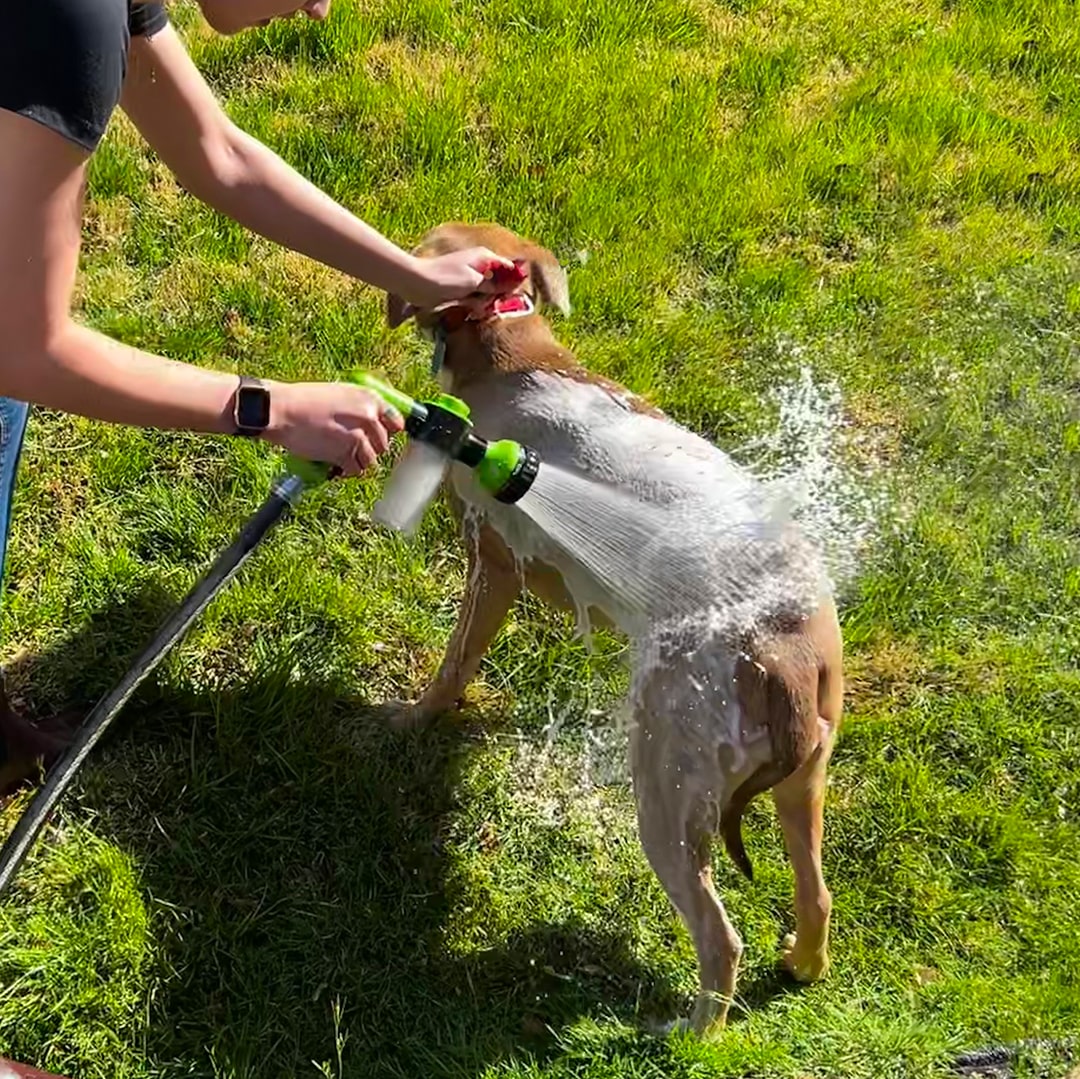 JetSpray™ - Premium cleaning tool for your four-legged friend 