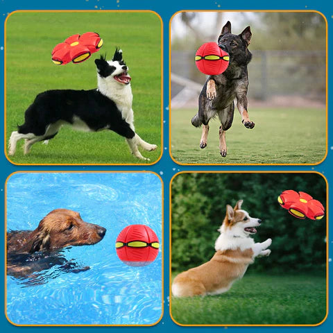 PupPlay™ - Frisbee Ball for Dogs