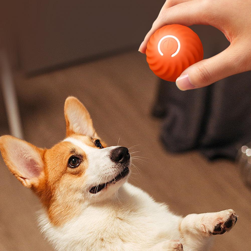 PetPal™ - Sustainable Automatic Rolling Ball 