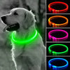 GlowPaws™ LED-Halsband – Hell und sicher: 3 Arten der Sichtbarkeit für Ihre Katze oder Ihren Hund