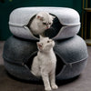 CatNap Cavern™-Donut Kattenbed, Interactieve Tunnel voor katten en kittens