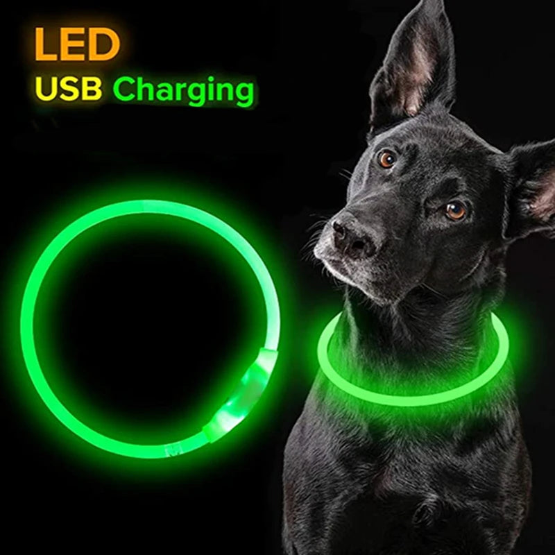 GlowPaws™ LED-Halsband – Hell und sicher: 3 Arten der Sichtbarkeit für Ihre Katze oder Ihren Hund