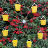 WingWheel™ - Bird Feeder Ferris Wheel