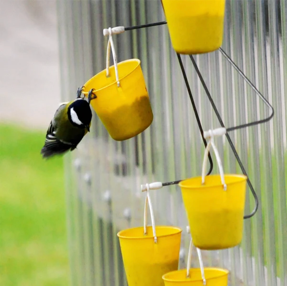 WingWheel™ - Bird Feeder Ferris Wheel