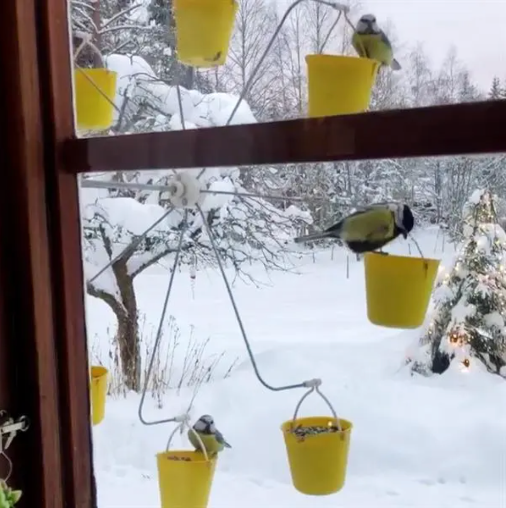 WingWheel™ - Bird Feeder Ferris Wheel