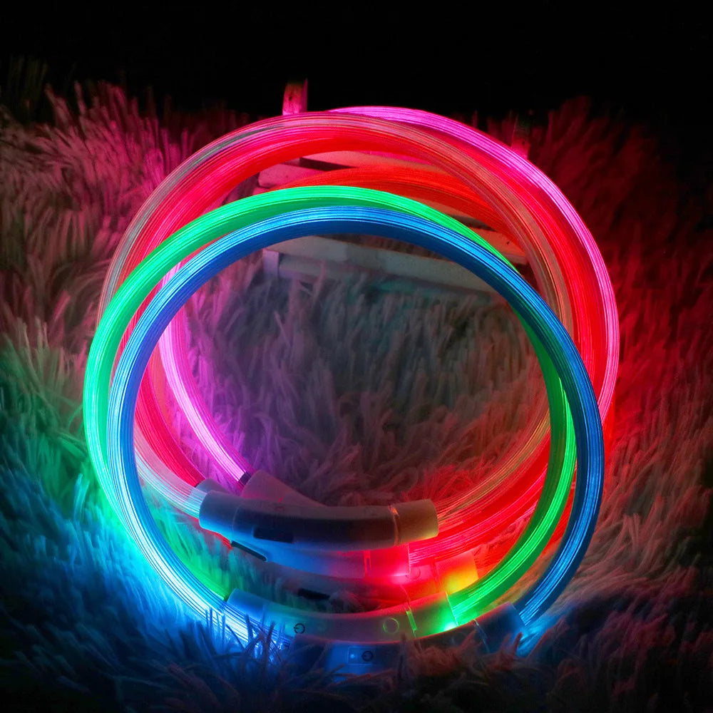 GlowPaws™ LED-Halsband – Hell und sicher: 3 Arten der Sichtbarkeit für Ihre Katze oder Ihren Hund