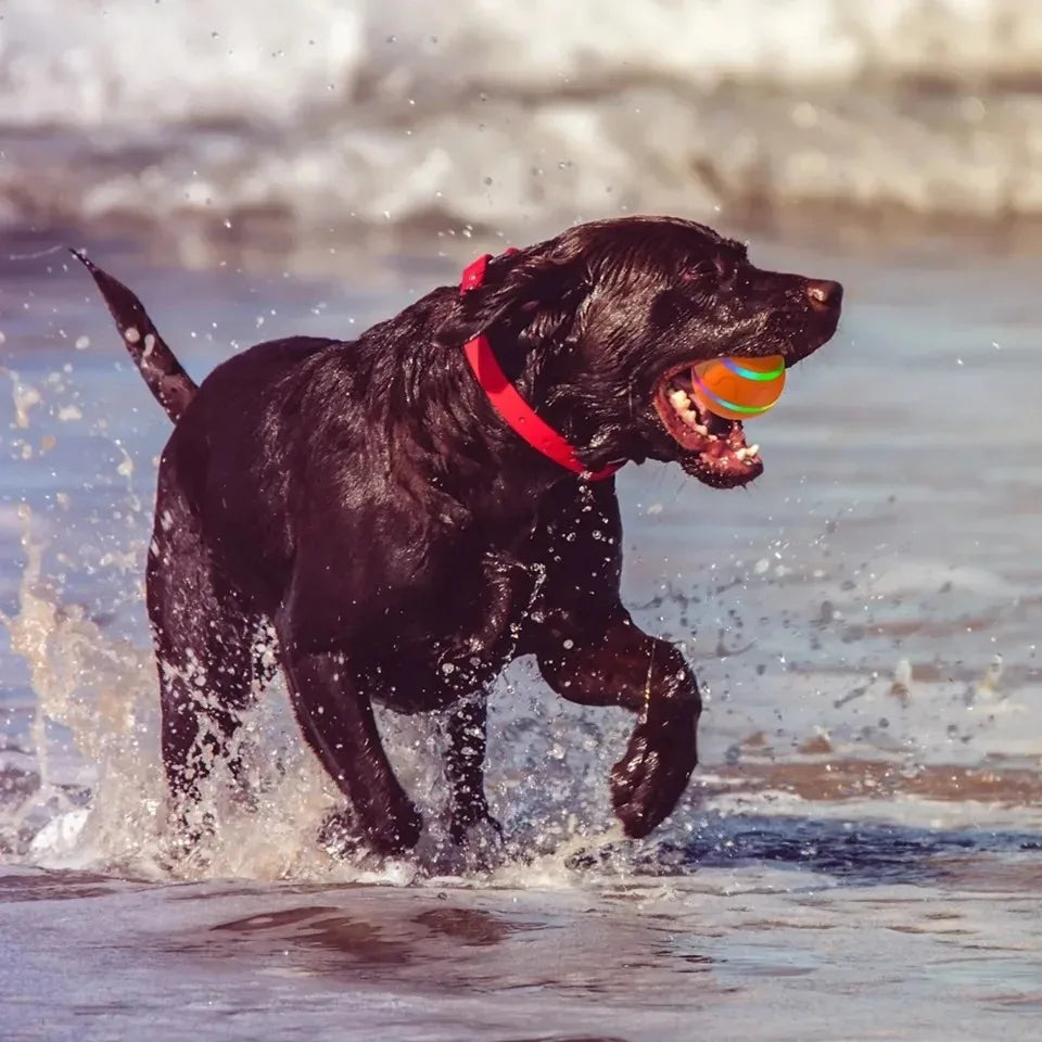 Pawesome Roller™ Ball - Bewegingsgeactiveerde speelbal voor honden en katten