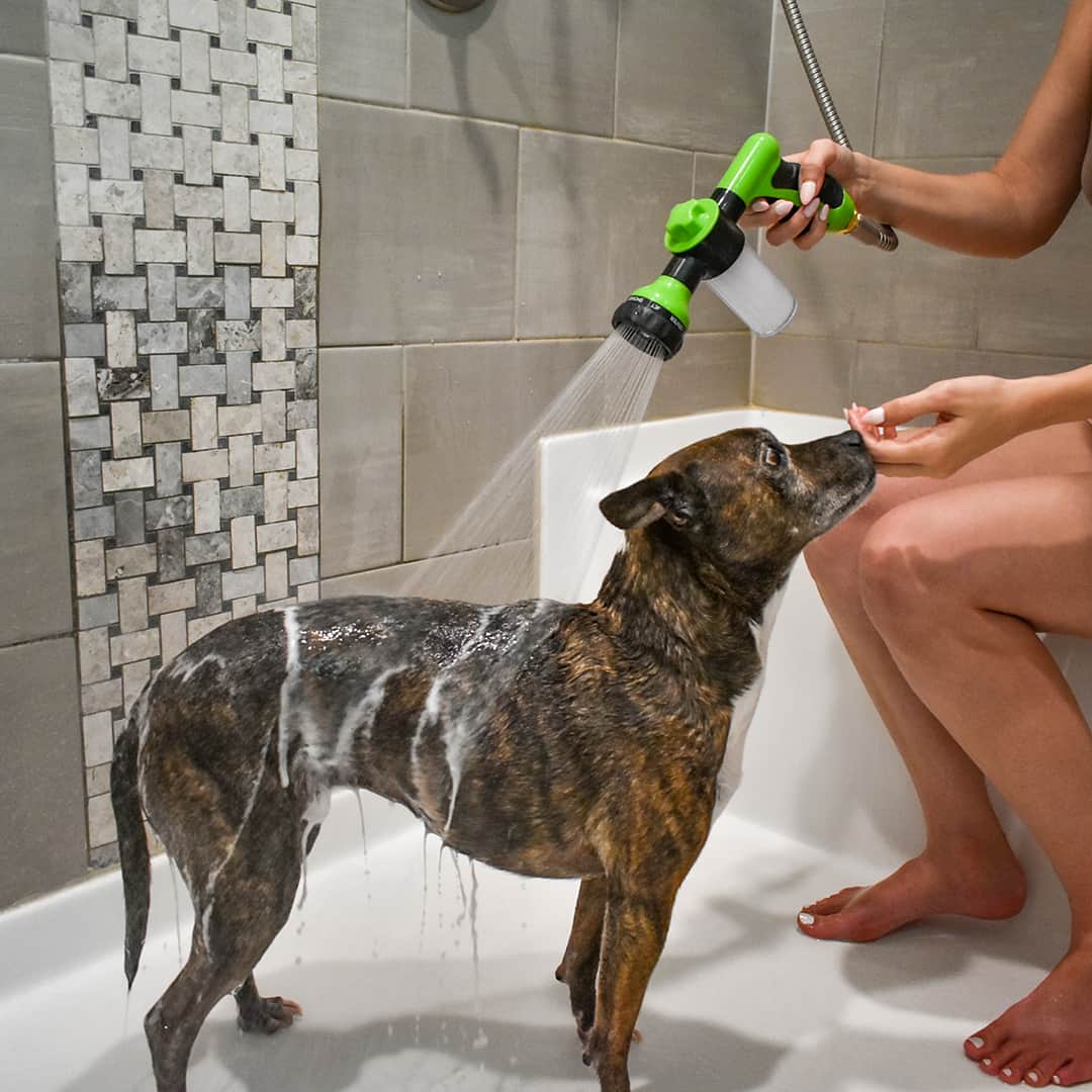 JetSpray™ - Premium cleaning tool for your four-legged friend 