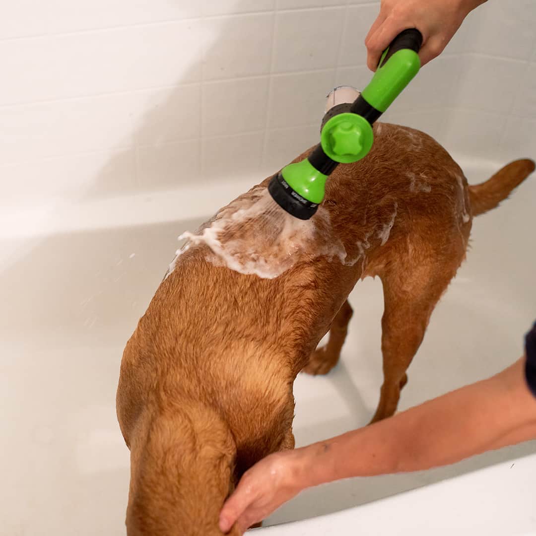 JetSpray™ - Premium cleaning tool for your four-legged friend 