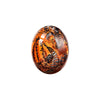 Lava Dragon Egg™