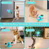 Spin-n-Scent™ - Interactieve kattenspeeltje met kattenkruid